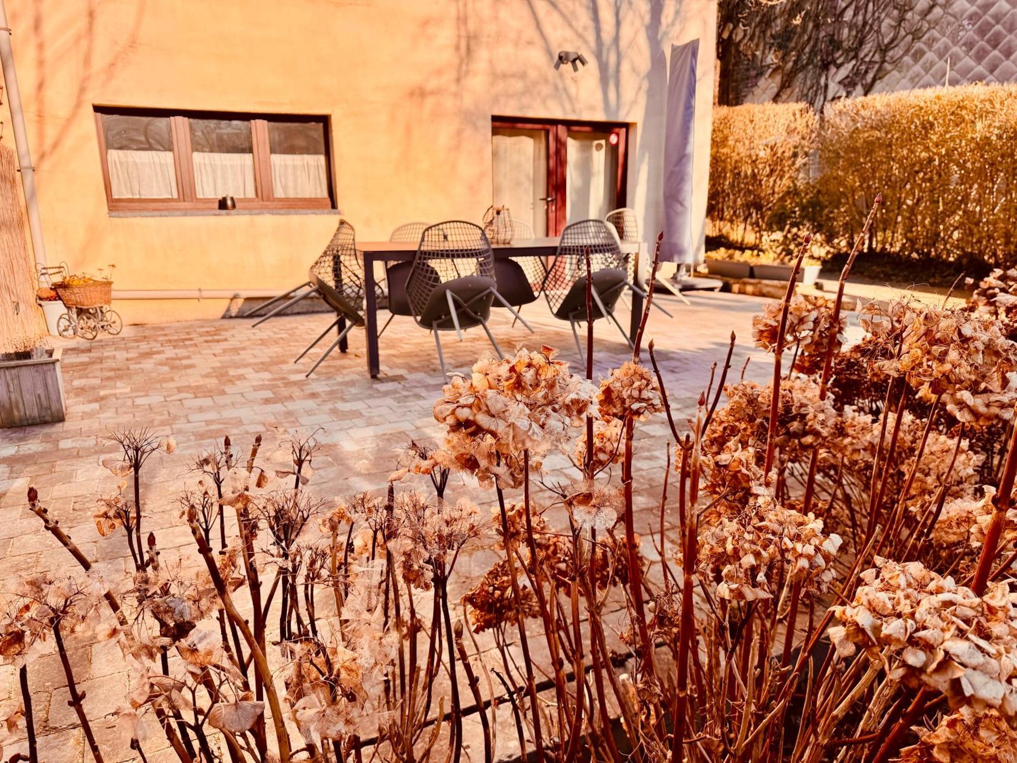 Oboho - Le gîte bohème  Esneux Exterior foto